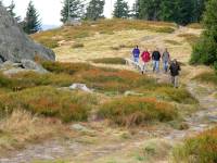 Wandern am Osser - Ausflugsziel Osserwiese